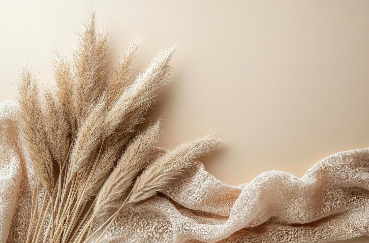Soft pampas grass arranged elegantly on a light background with flowing fabric in natural tones photo