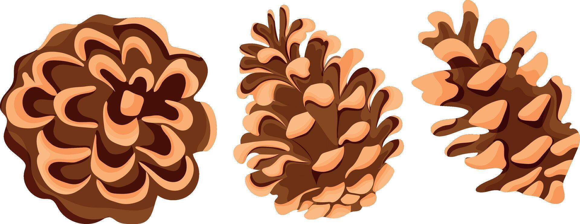 set of icons of various forest cones from a coniferous plant, for Christmas cards or decorations vector