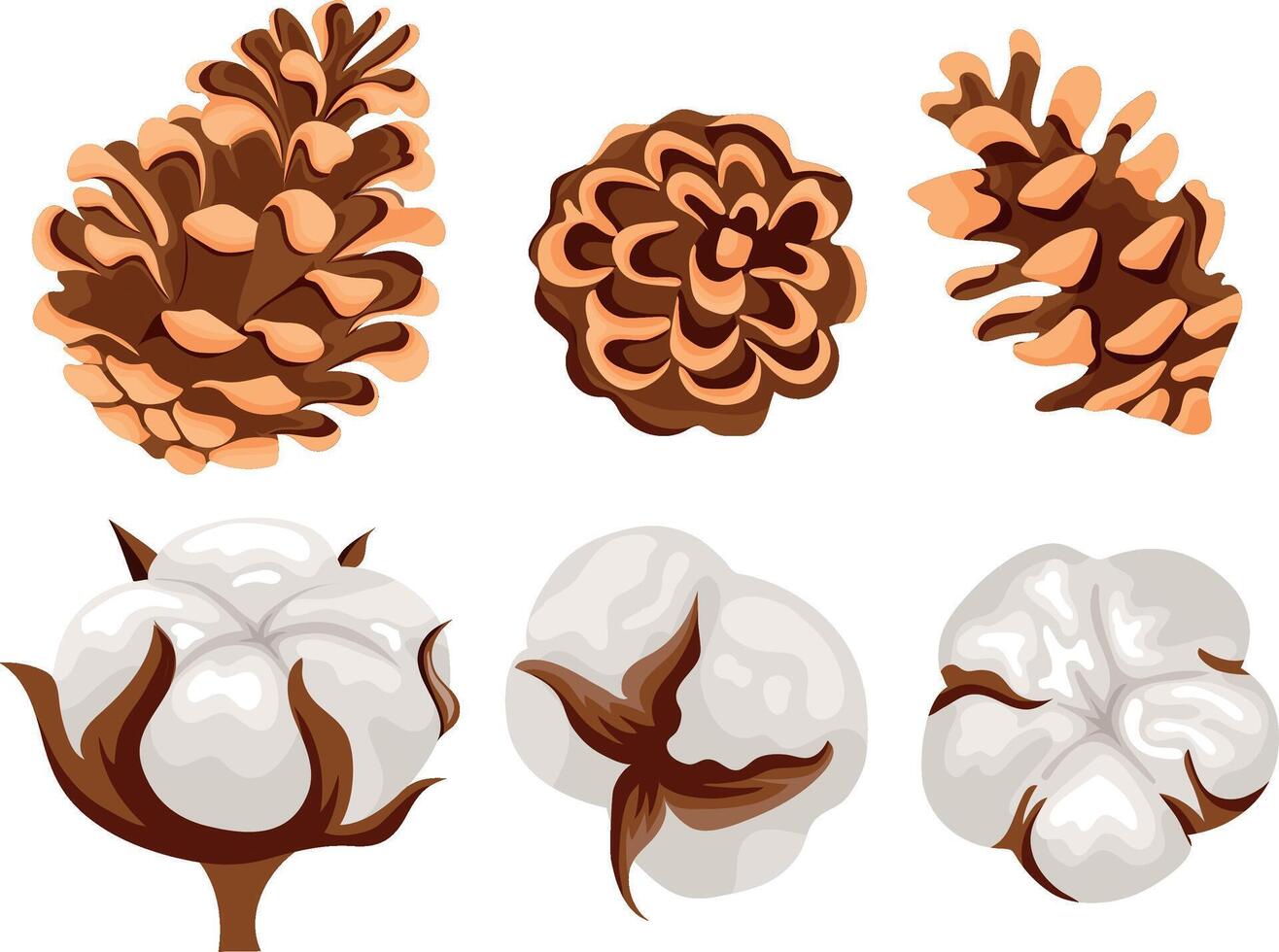 set of icons of various forest cones of conifers and various cotton flowers, for Christmas cards or decorations vector