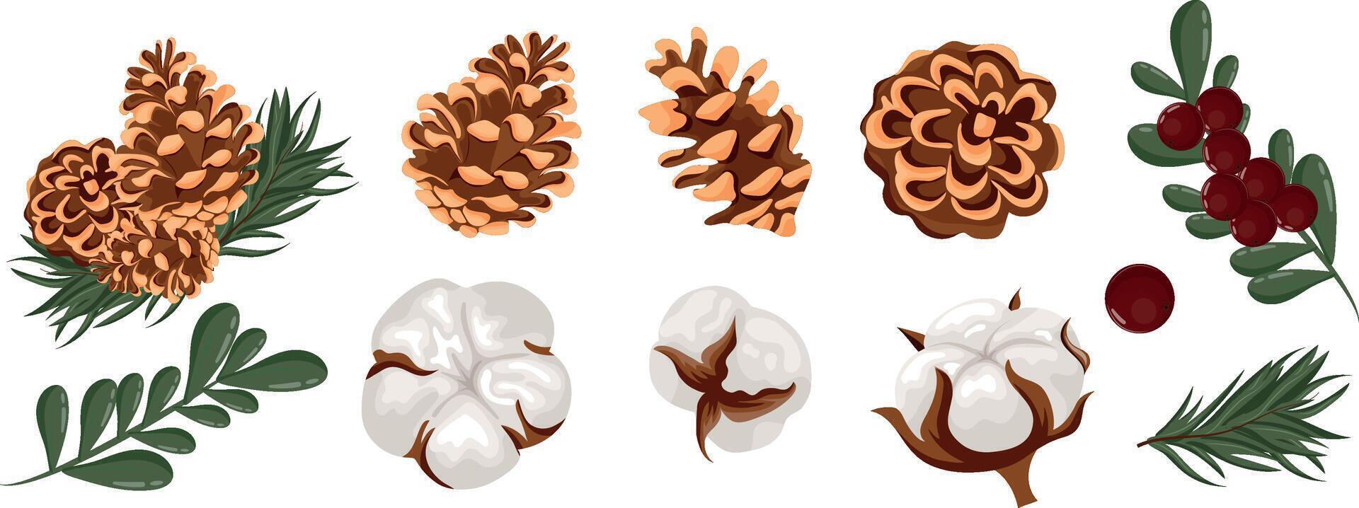 large set of different Christmas plants, namely different cones, conifer twigs and red berries with green leaves, for various packages, posters or cards vector