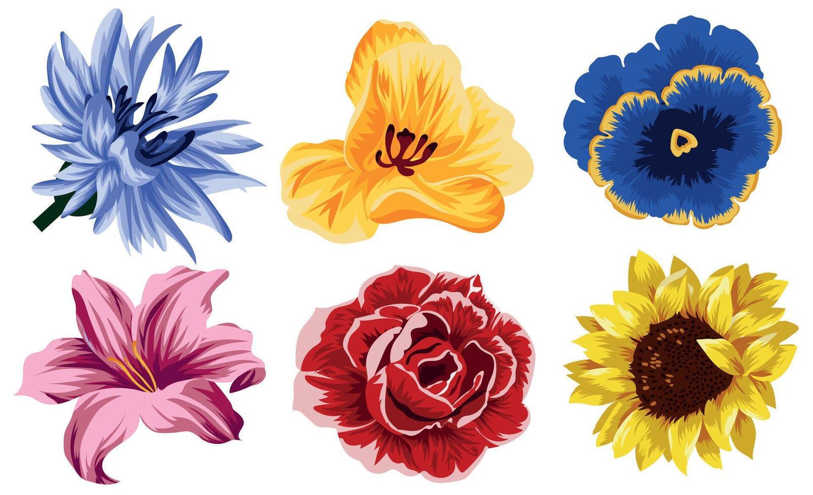 set of different flowers namely yellow tulip, blue, cornflower, pink lily and red rose, sunflower and blue field flower for typography, banner or textile vector
