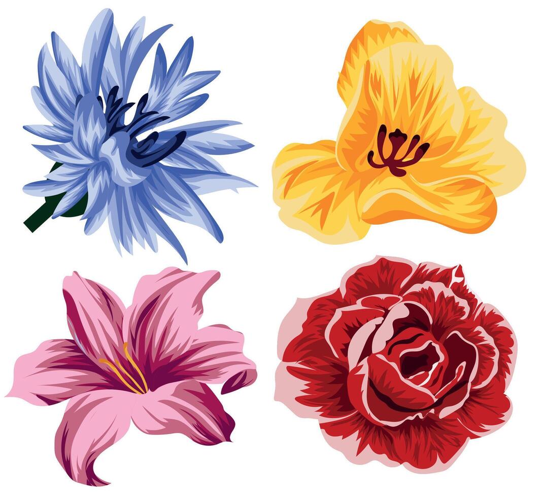 sets of various flowers, namely yellow tulip, blue, cornflower, pink lily and red rose, for typography, banners or textiles vector