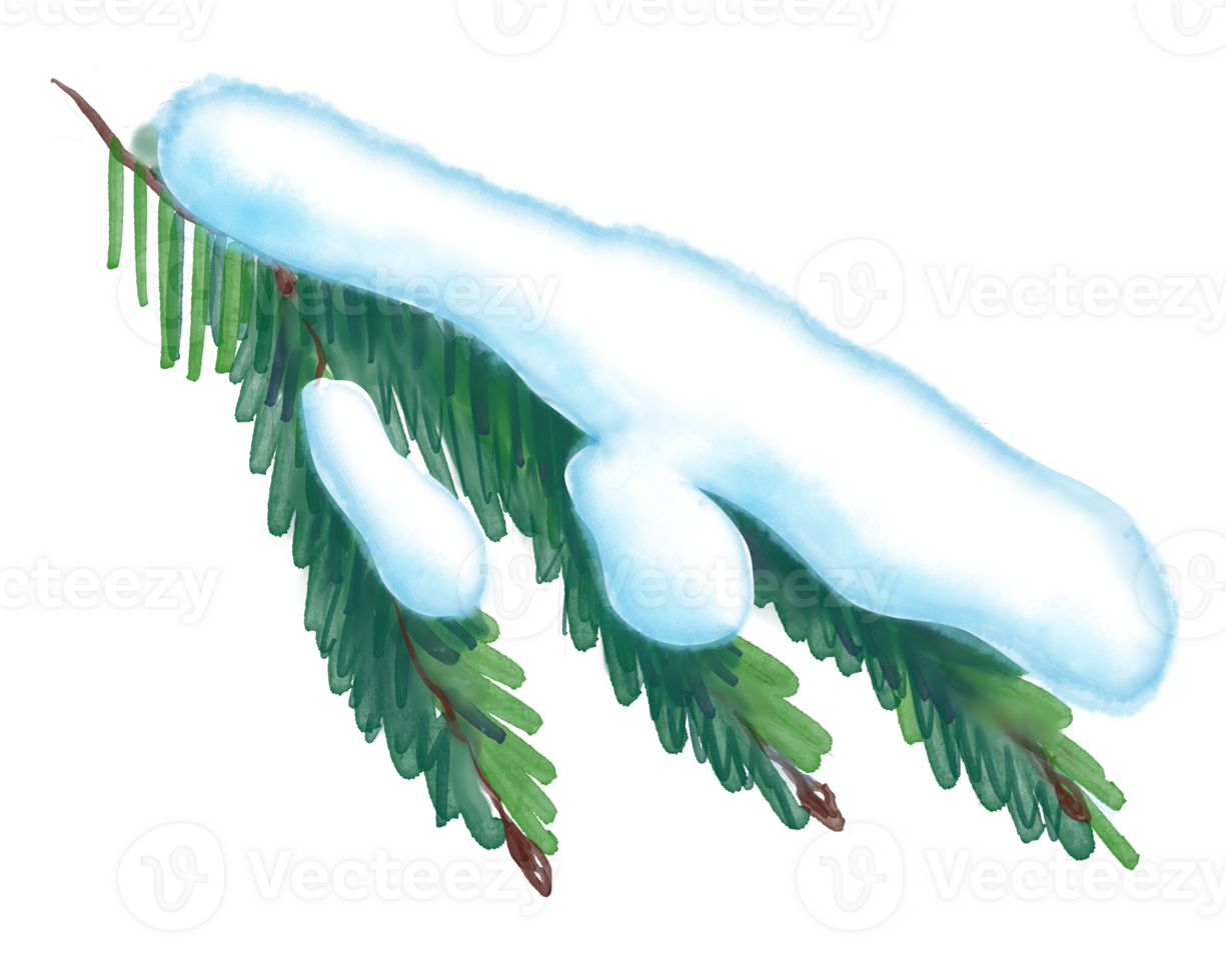 Fir branch under snow. Christmas mood. Watercolour illustration png