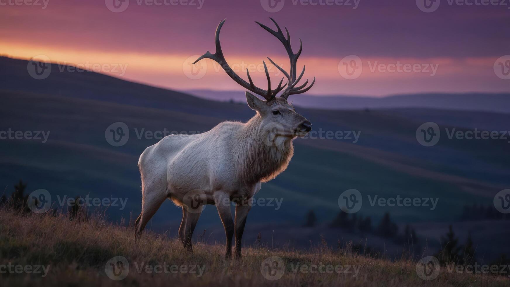 A majestic white stag stands against a colorful sunset backdrop in a serene landscape. photo