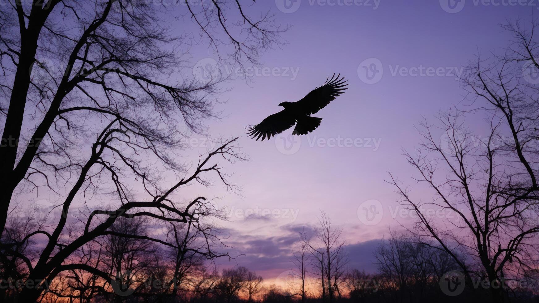 A silhouette of a bird flying against a colorful sunset sky with barren trees. photo