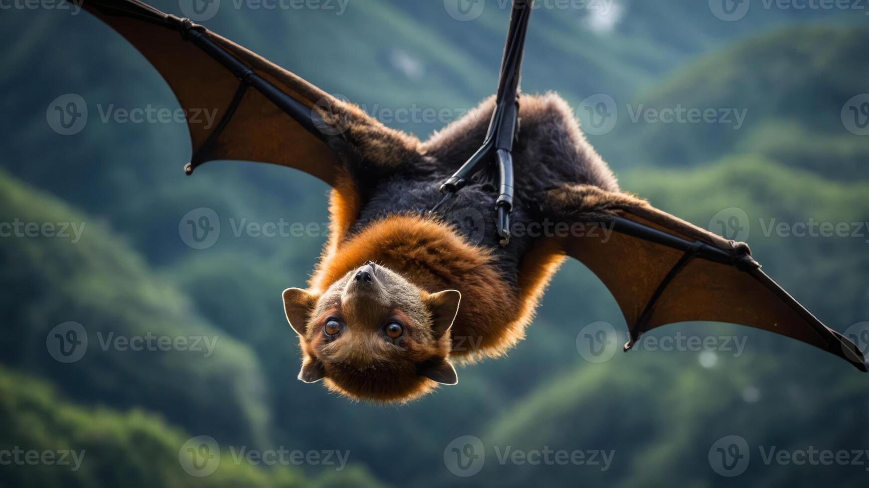 A close-up of a bat hanging upside down against a green mountainous backdrop. photo