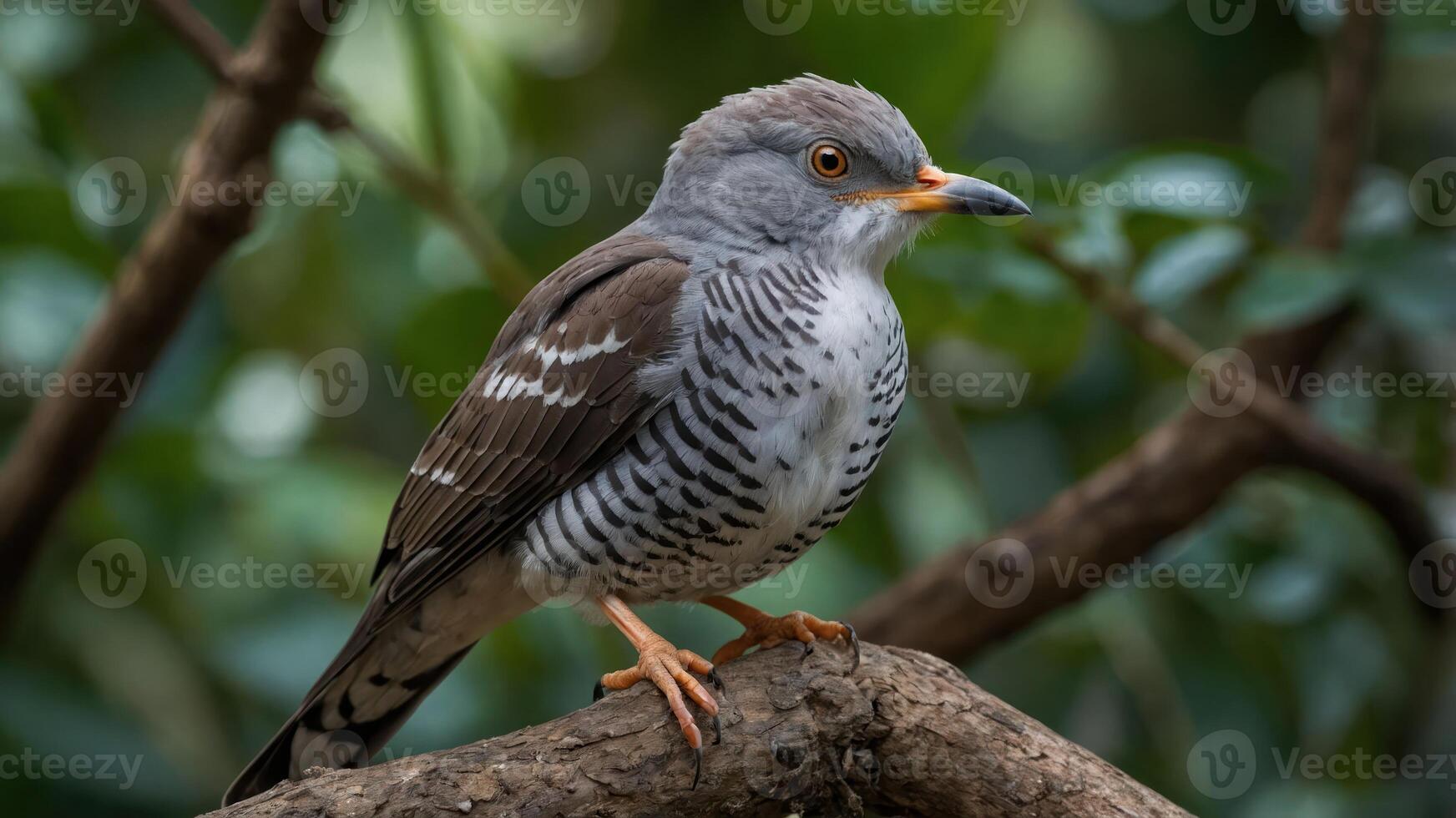 A detailed image of a bird perched on a branch amidst green foliage. photo
