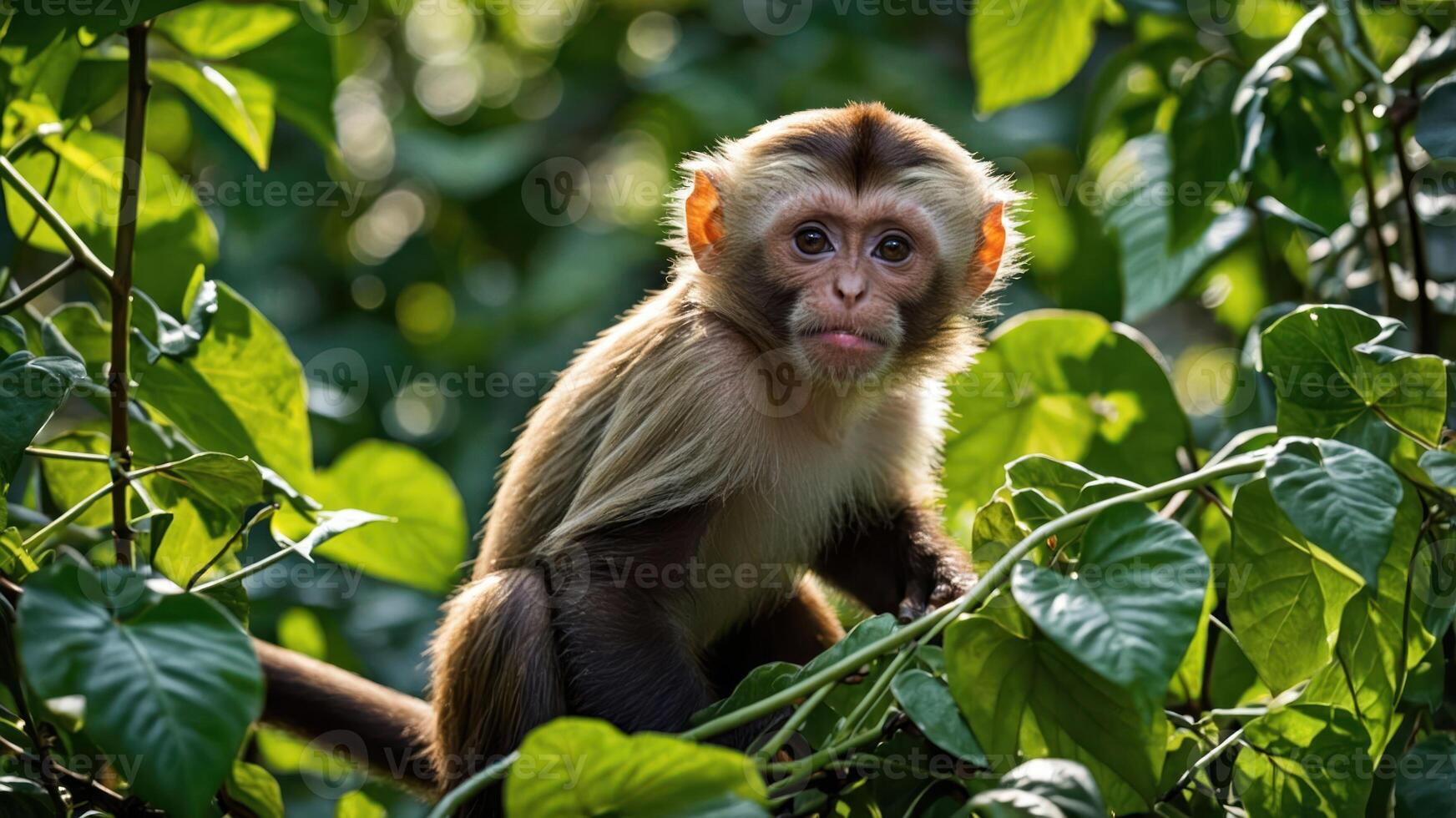 A young monkey perched among lush green leaves, showcasing its curious expression. photo