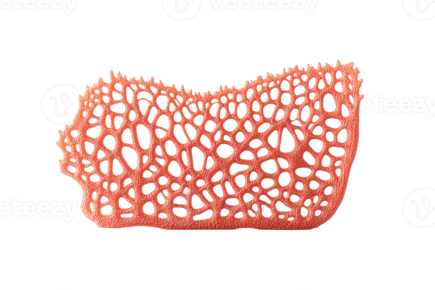 Close-up of a vibrant red coral piece isolated on transparent background. Detailed and intricate sea coral structure perfect for marine life designs. png