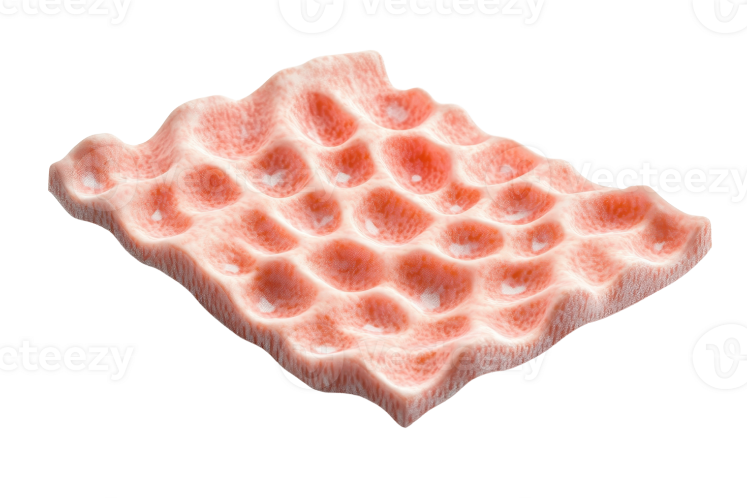 A detailed and textured close-up of a piece of coral featuring intricate patterns and a pinkish hue, isolated on a transparent background. png
