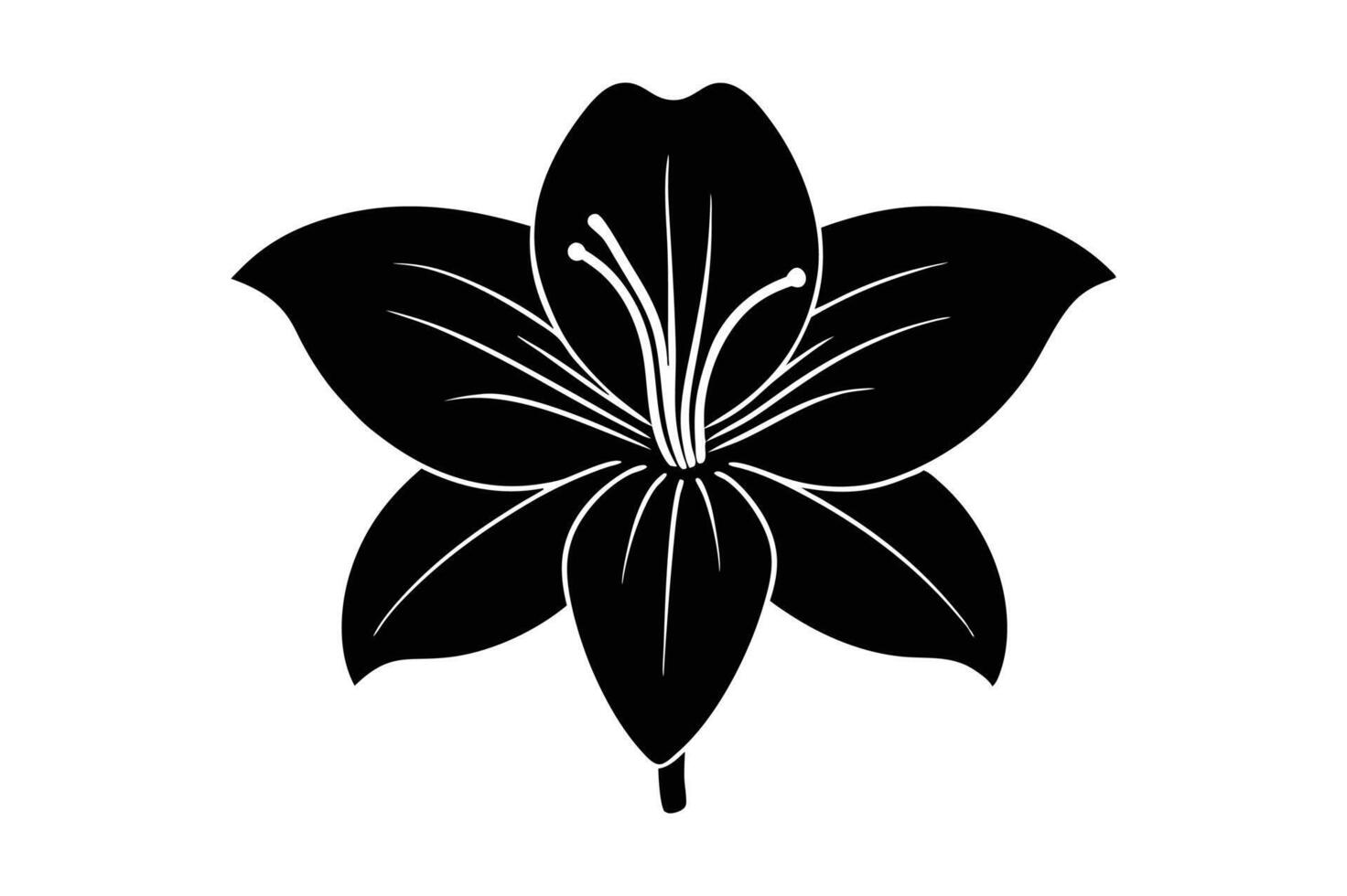Delicate Amaryllis Flower Silhouette Graphics vector