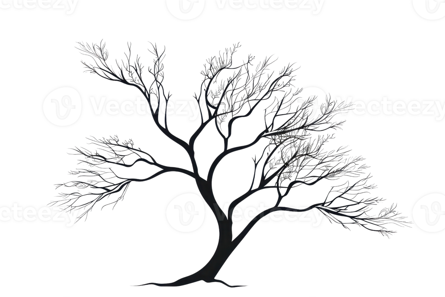 Silhouette of a leafless tree with intricate branches, illustrating nature's beauty in black and white. png