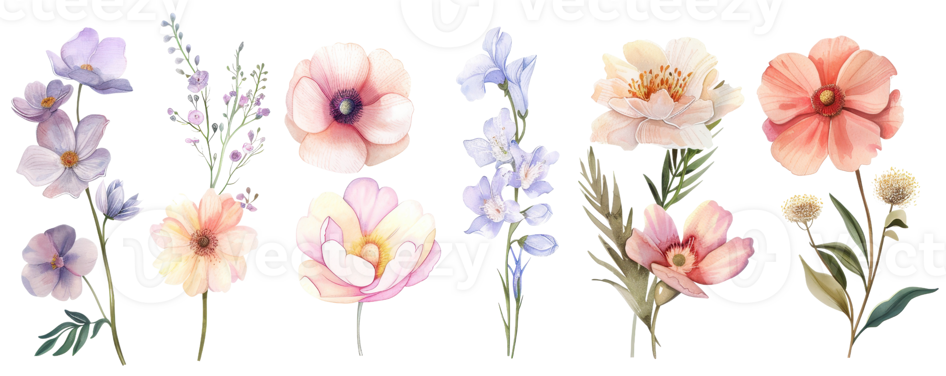 A collection of watercolor floral illustrations featuring delicate and vibrant flowers, perfect for design projects and creative artwork. png
