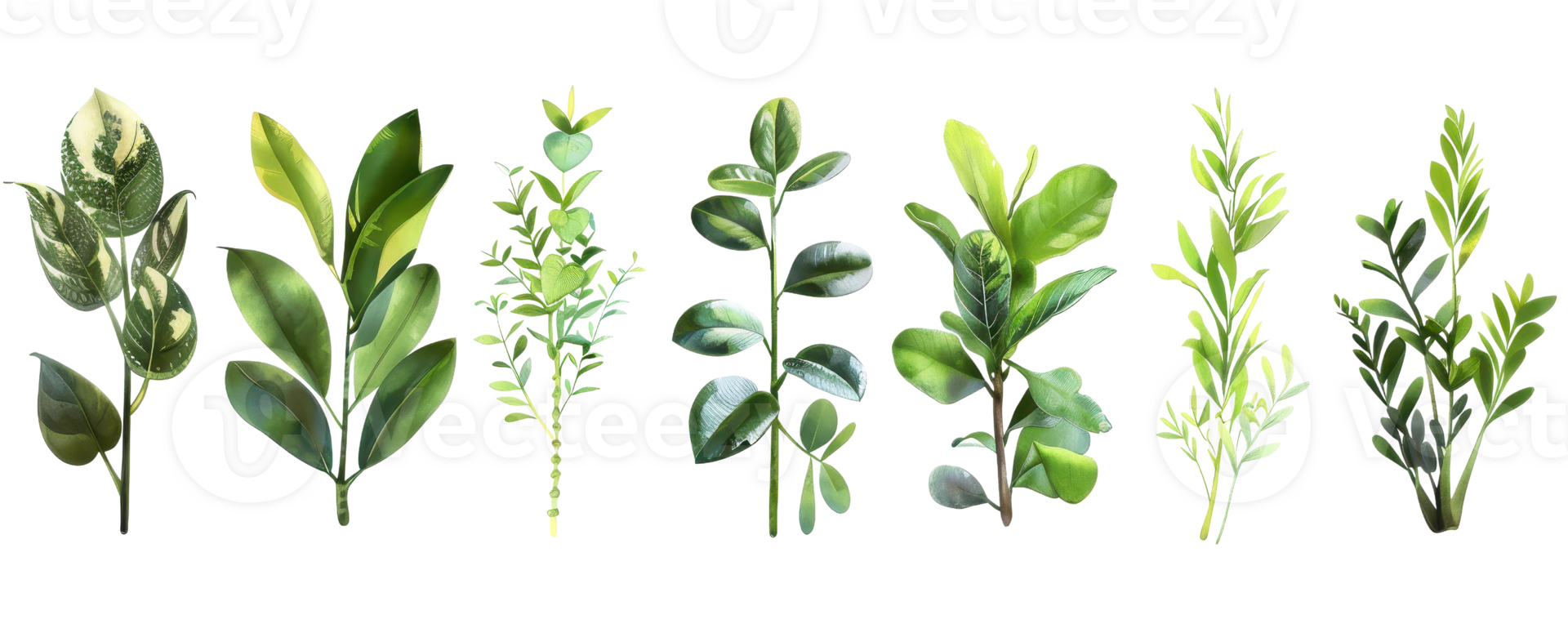 Collection of various green leaves isolated on transparent background. ideal for design projects, botanical themes, or nature-related content. png
