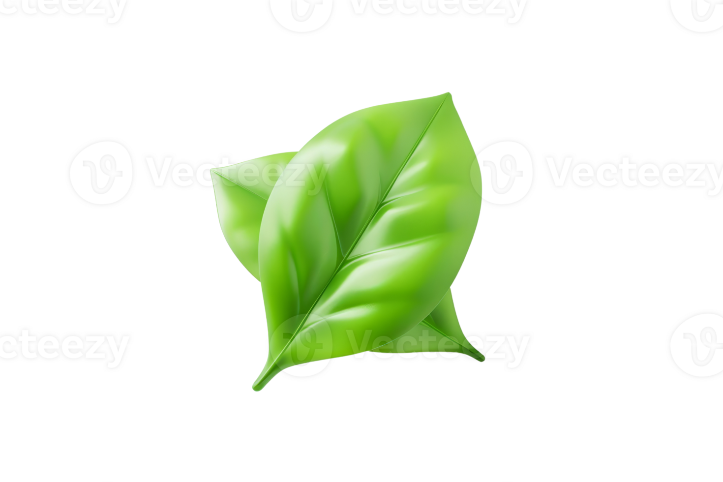 High-quality illustration of two vibrant green leaves with detailed textures on a transparent background. Perfect for eco-friendly themes. png