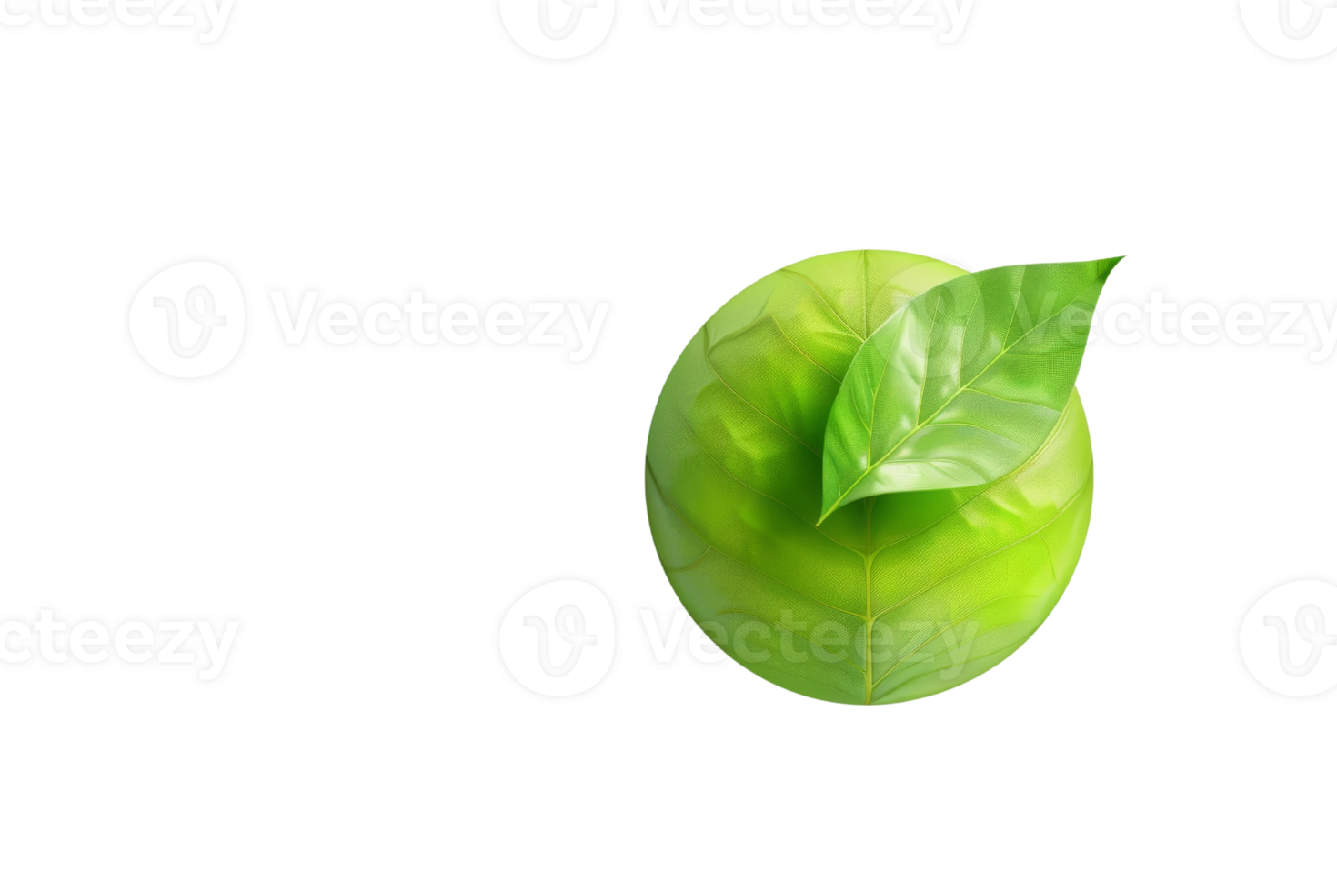 Green leaf with vibrant colors, isolated on a transparent background. Perfect for nature, botanical, and eco-friendly themes. png