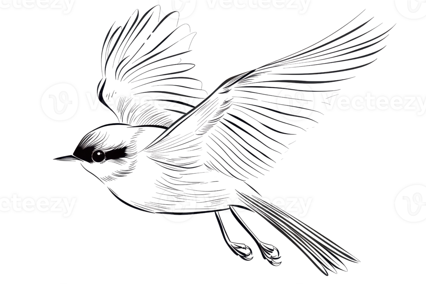 Illustration of a bird in mid-flight with intricate details and expressive wings. Perfect for nature, wildlife, and artistic designs. png