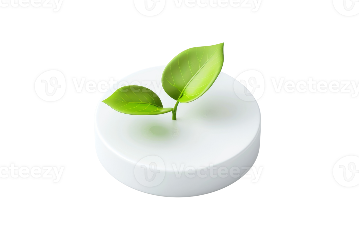 Minimalist green leaf plant growing on a round white surface. Perfect for nature, eco, and growth concepts. png