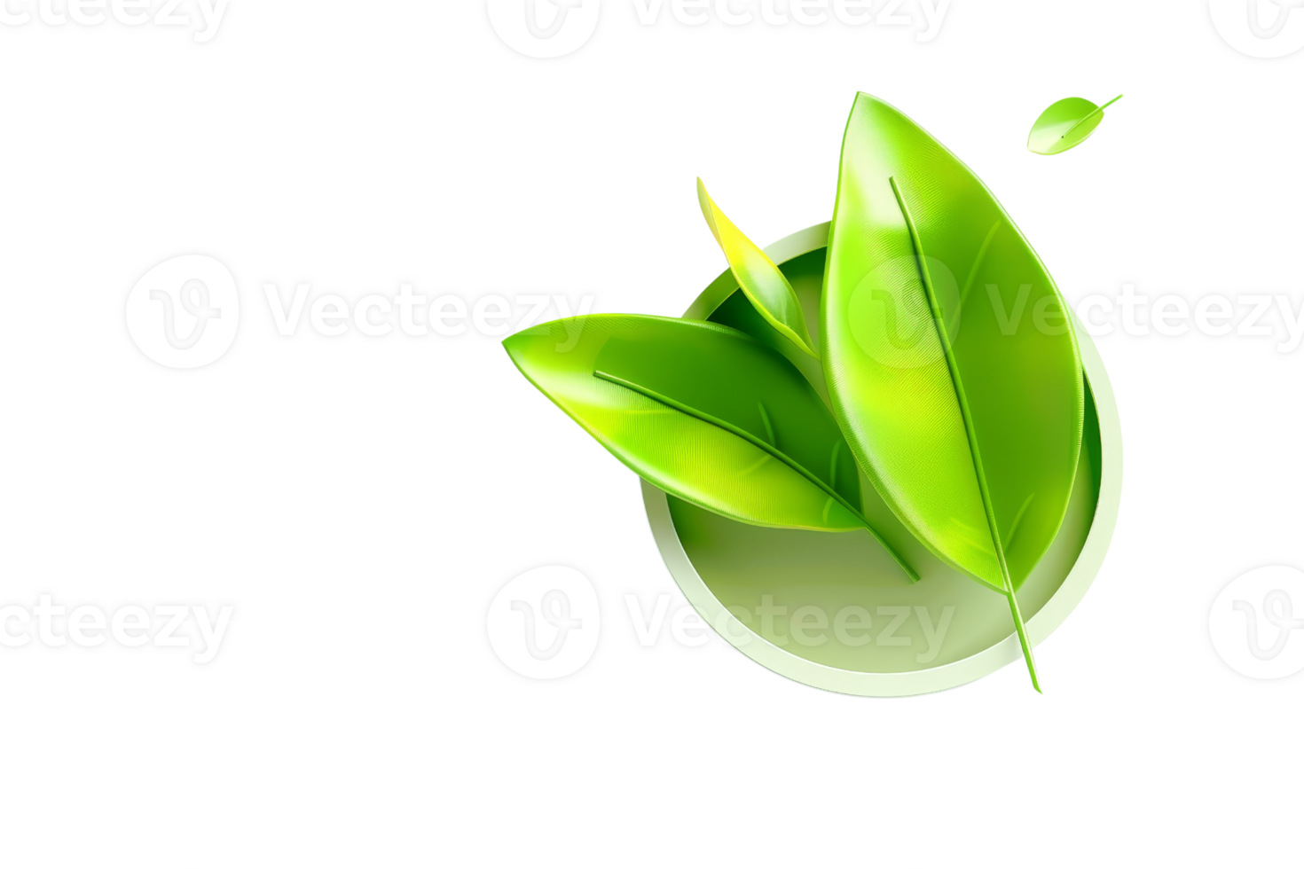 Bright green fresh leaves on a transparent background. symbolizing nature, growth, and freshness. Perfect for eco-friendly and organic concepts. png
