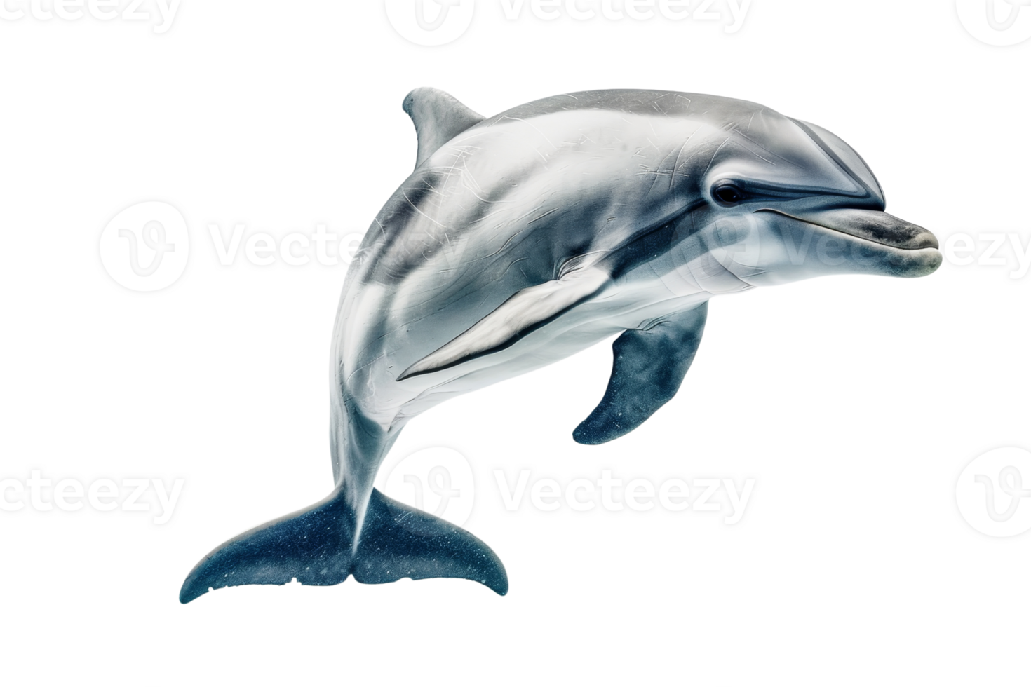 High-resolution image of a playful dolphin gracefully swimming underwater with a transparent background. showcasing its sleek, streamlined body. png