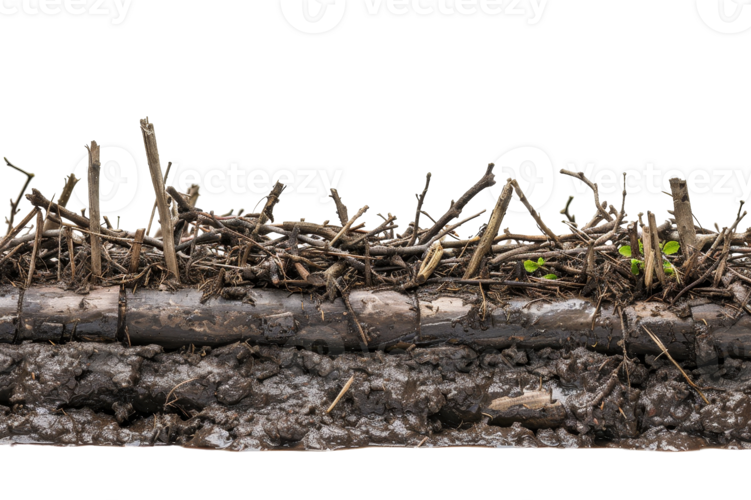 Close-up of dark soil with organic material, showcasing rich earth perfect for gardening and agriculture. Nature background image. png
