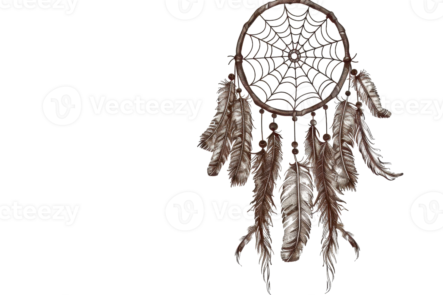 Elegant dreamcatcher with intricate web design and hanging feathers, symbolizes protection and positive energy in a decorative piece. png