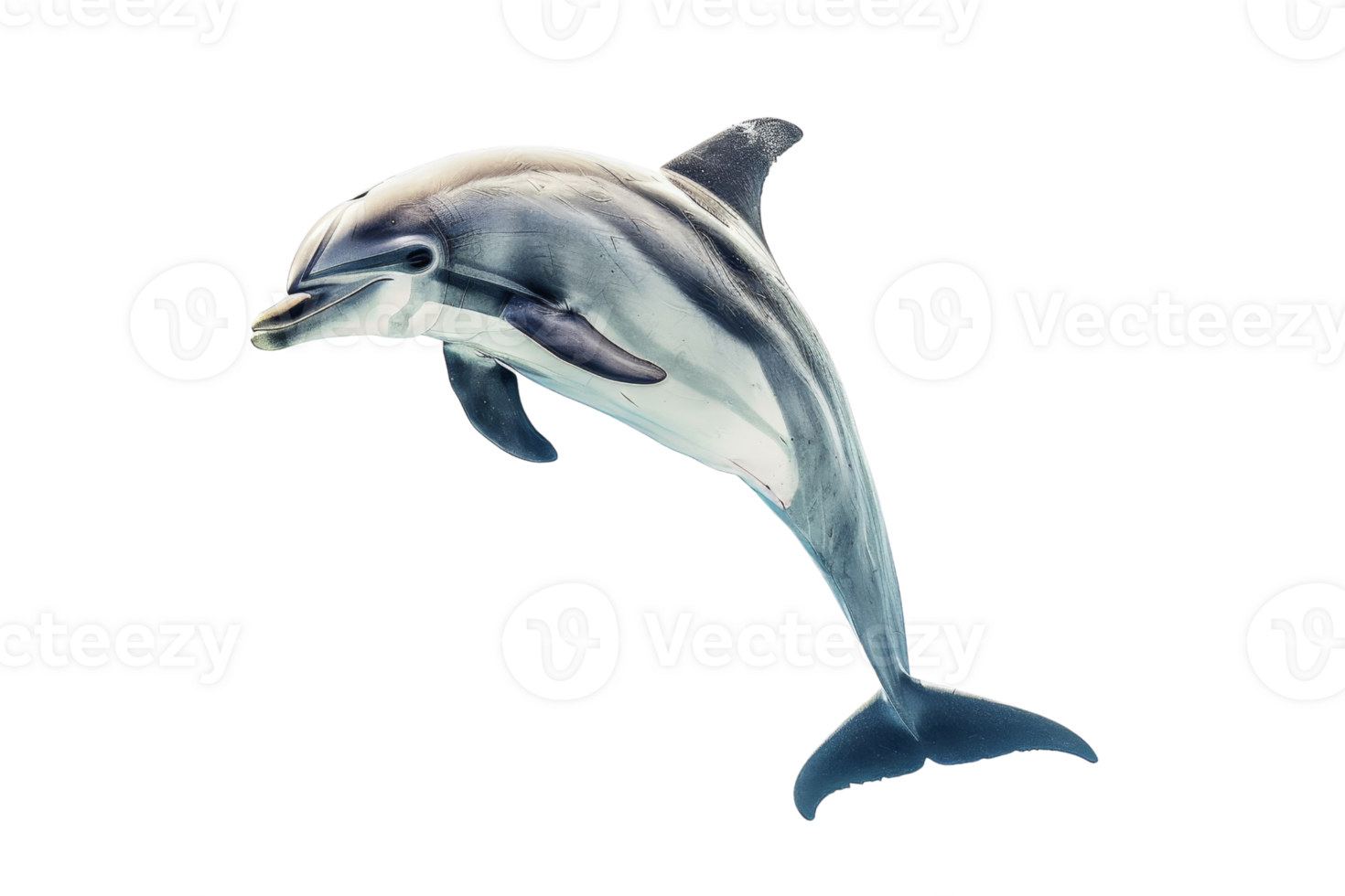 Vibrant image of a dolphin leaping out of the water, captured in mid-air with a transparent background. Perfect for nature and marine life themes. png