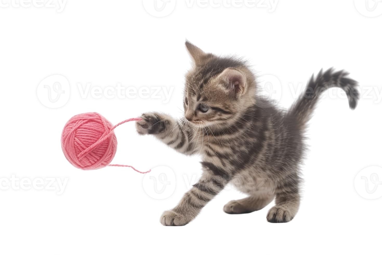 Adorable kitten playing with a pink yarn ball isolated on a transparent background. showcasing playful and cute behavior of young cats. png