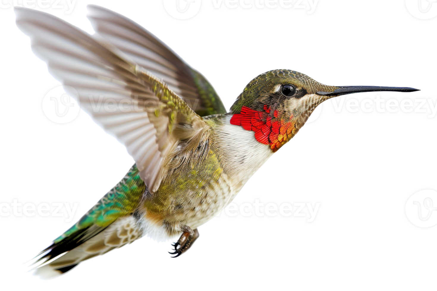 A vibrant hummingbird in mid-flight captures nature's beauty with its colorful feathers and graceful wings against a transparent background. png