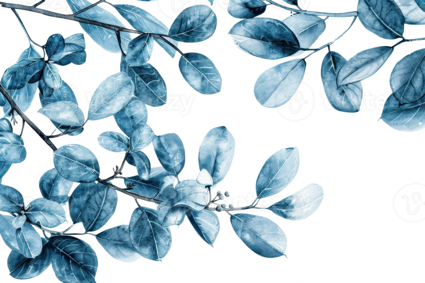 Blue eucalyptus leaves on transparent background. Natural botanical composition with calming tones, perfect for modern and elegant design projects. png