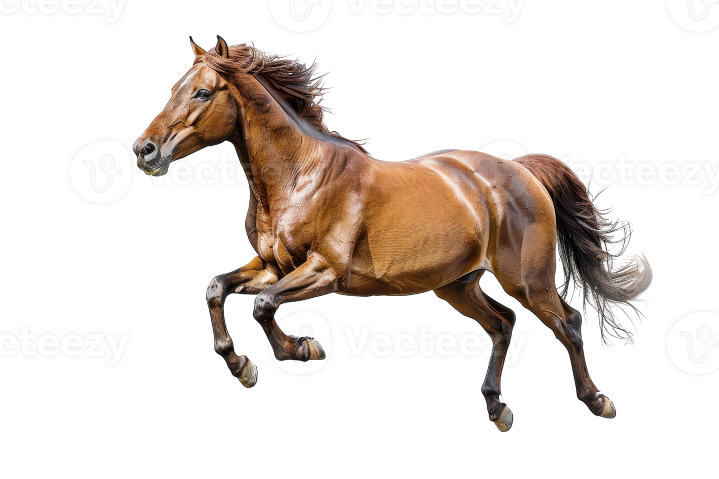 Dynamic brown horse galloping in full motion with a glowing coat, showcasing strength and speed on a transparent background. png