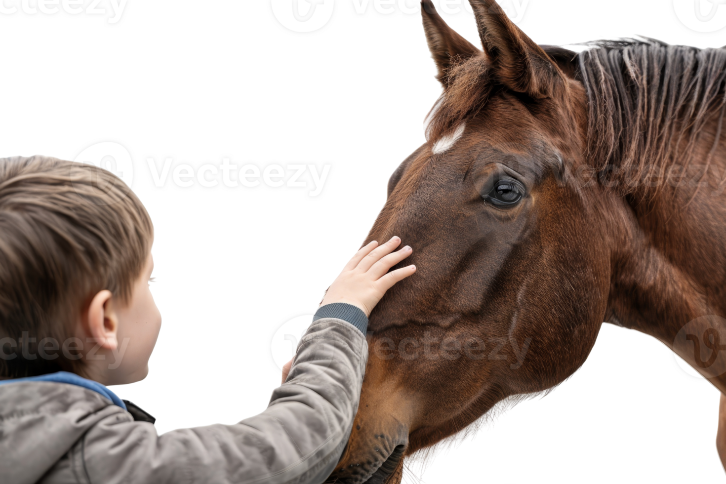 Young boy gently touching a horse's face, showcasing a moment of connection and love between child and animal in an outdoor setting. png