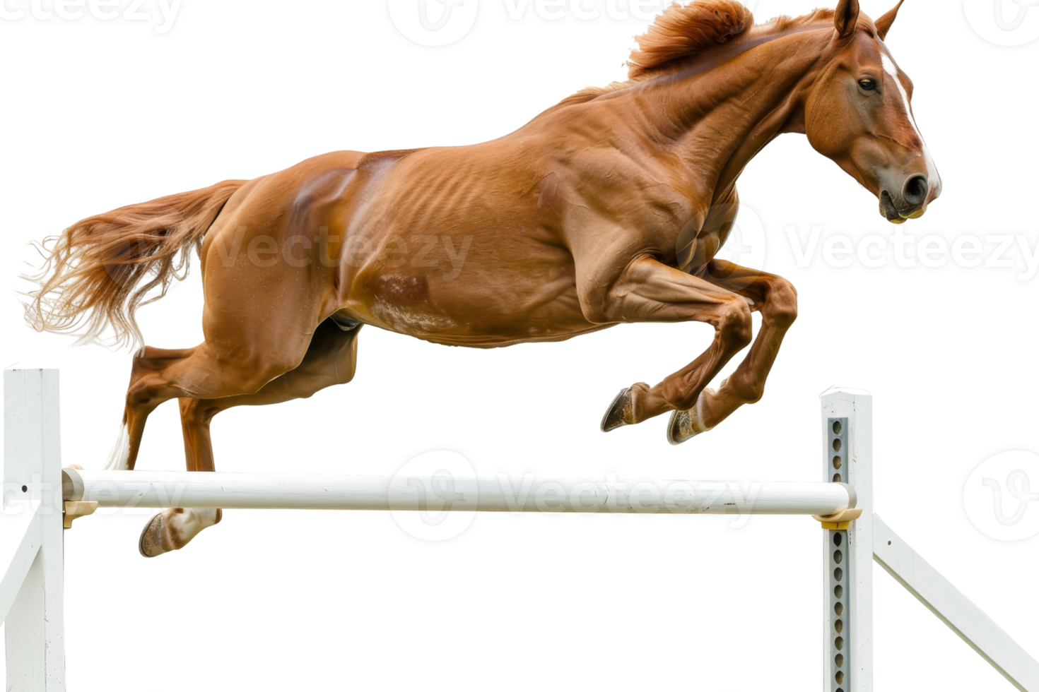 A brown horse majestically jumps over a white hurdle in mid-air showcasing agility and grace in an equestrian jumping event. png
