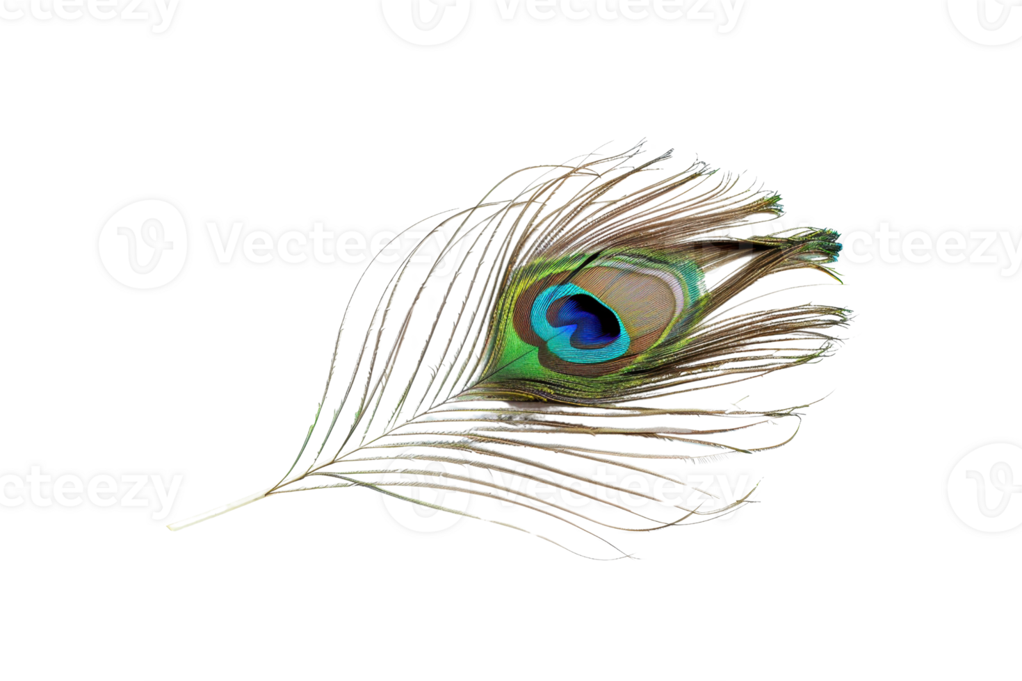 Colorful peacock feather isolated on transparent background. showcasing vibrant eye pattern and intricate details. Perfect for nature and design themes. png