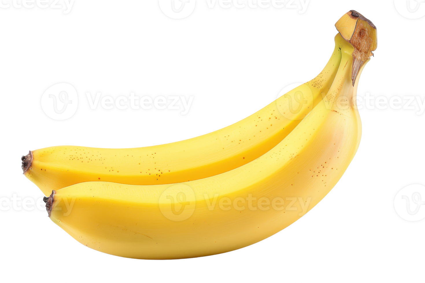 Two ripe yellow bananas isolated on a transparent background. perfect for healthy eating and nutritious snack concepts. png