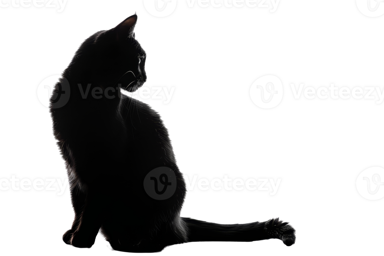 A graceful silhouette of a black cat sitting and looking to the side, captured in contrast against a dark background. png