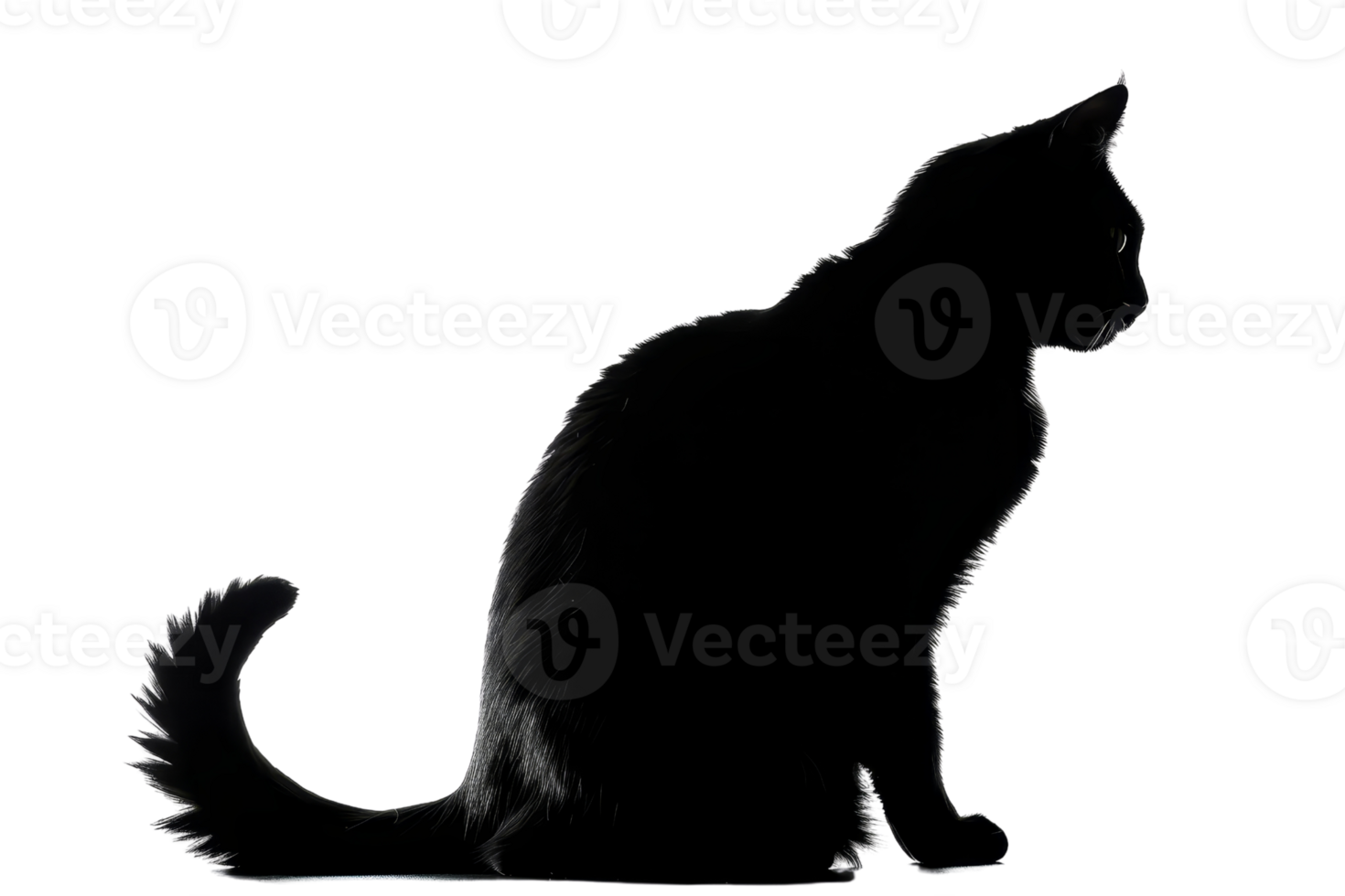 Silhouette of a black cat sitting gracefully against a transparent background. emphasizing its sleek and mysterious form. png