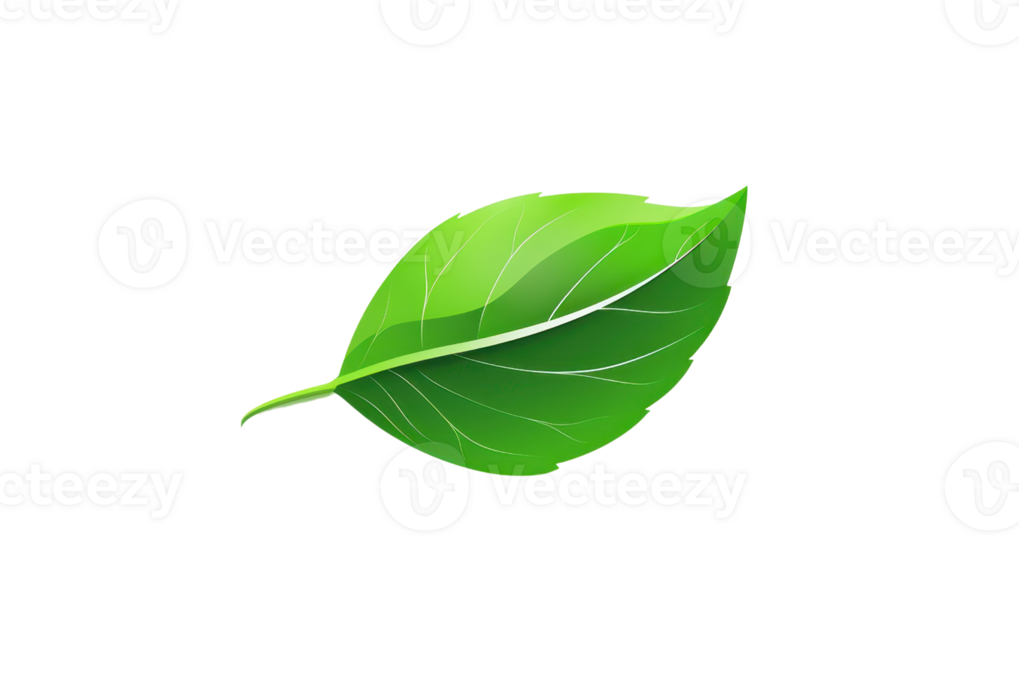 Close-up image of a green leaf with detailed veins on a transparent background. symbolizing nature, growth, and sustainability. png