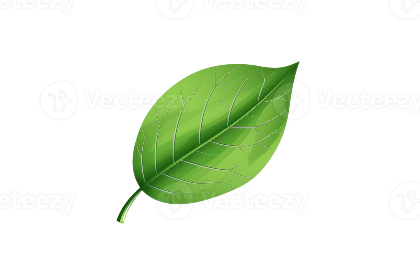 Close-up illustration of a single green leaf with detailed vein pattern isolated on a transparent background, symbolizing nature and growth. png