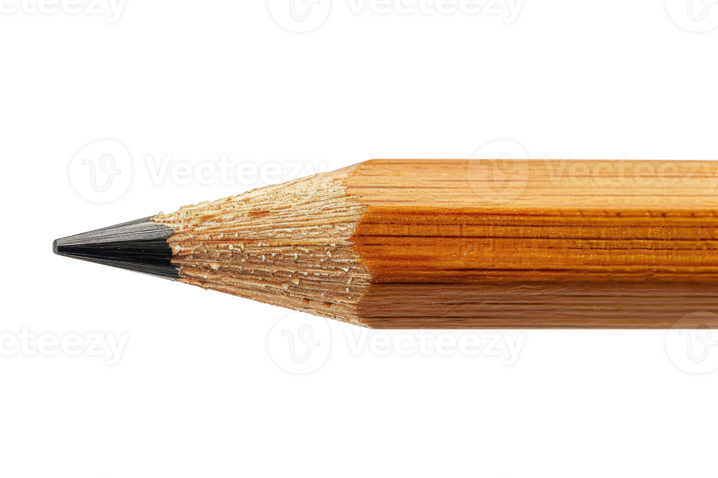 Close-up image of a sharpened pencil tip, highlighting the wood and graphite. Ideal for educational, art, and writing-themed projects. png