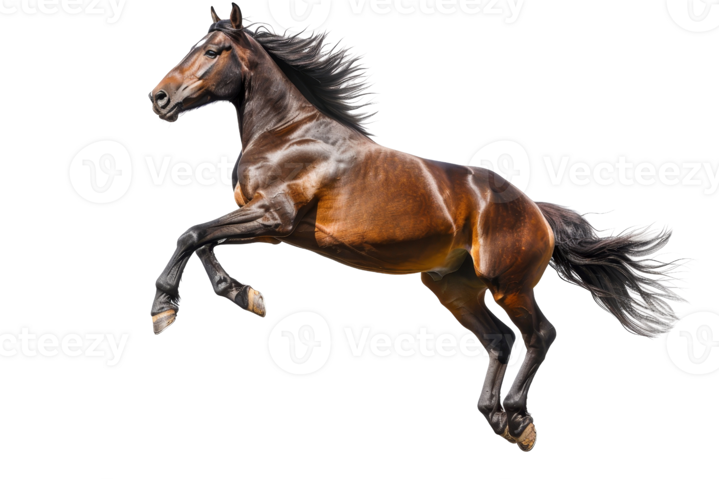 Magnificent bay horse in mid-air jump against a clear background, showcasing strength, agility, and grace. Perfect for equestrian themes. png