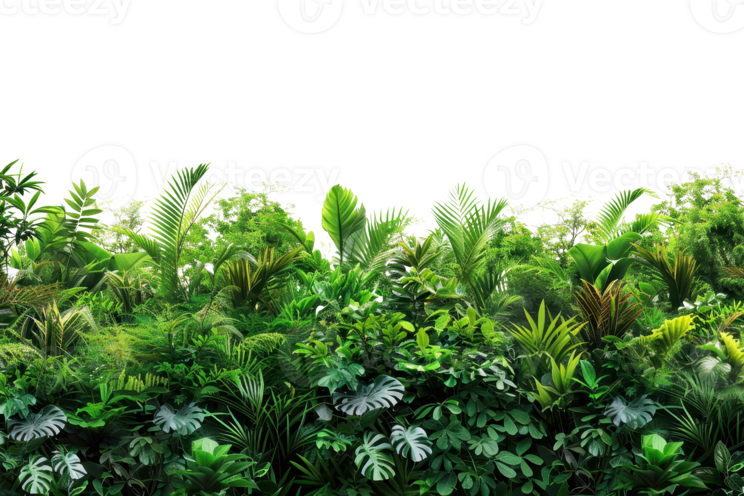 Lush green tropical foliage background, featuring a variety of vibrant leaves and dense vegetation perfect for nature-themed designs and projects. png