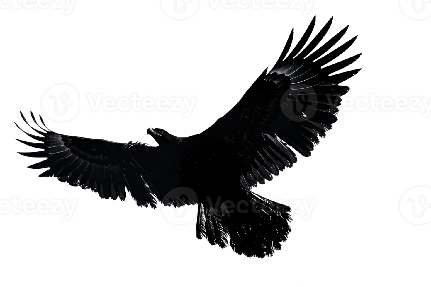 Black bird in flight, wings spread wide against a clear sky. Majestic pose, showcasing grace and precision in nature's aerial ballet. png