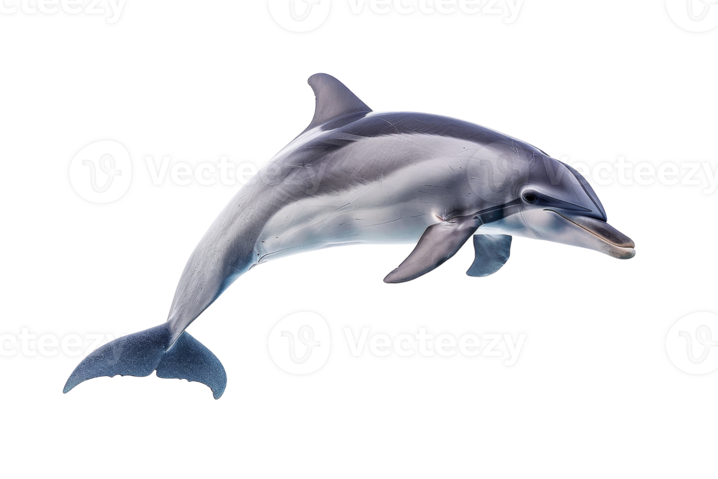 High-resolution image of a dolphin swimming gracefully in clear blue waters. Perfect for marine wildlife and ocean-themed projects. png