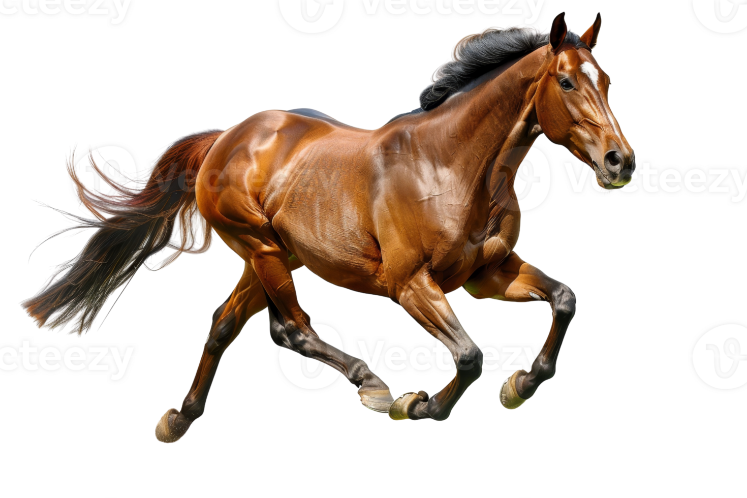 Dynamic image of a powerful brown horse running with grace, depicting strength and freedom, perfect for equestrian themes and nature projects. png