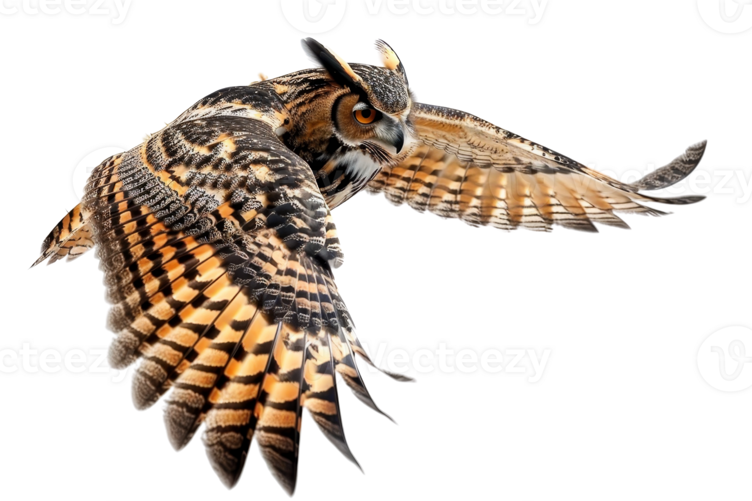 A majestic owl in flight with wings spread wide, showcasing its beautiful brown and white feathers against a transparent background. png