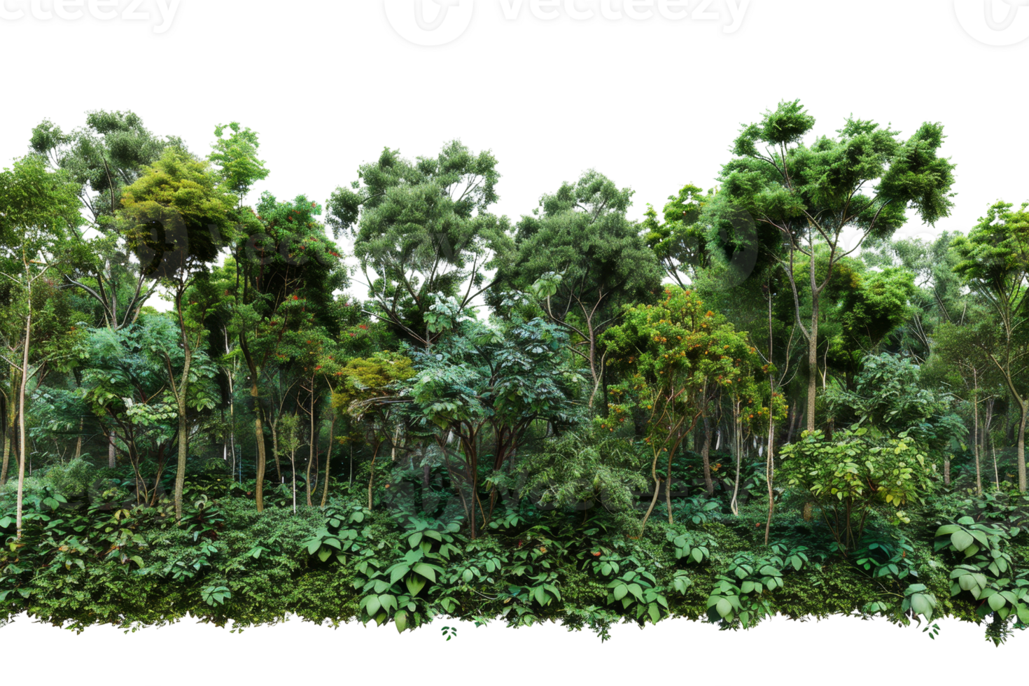Lush tropical rainforest with dense canopy and vibrant foliage, showcasing the beauty of natural wilderness and biodiversity. png