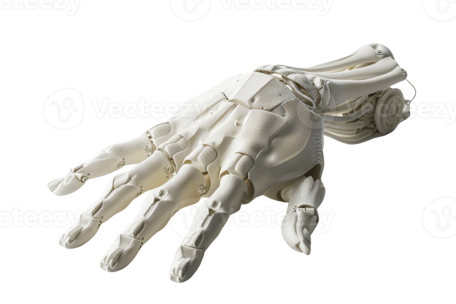Detailed close-up image of a white anatomical medical model of a human hand and wrist, showcasing bones and joints for educational purposes. png