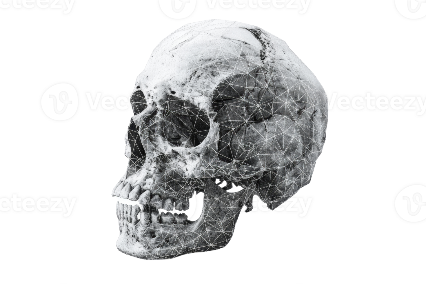 3D rendered human skull with geometric wireframe overlay. High-resolution illustration for medical, scientific, and educational purposes. png