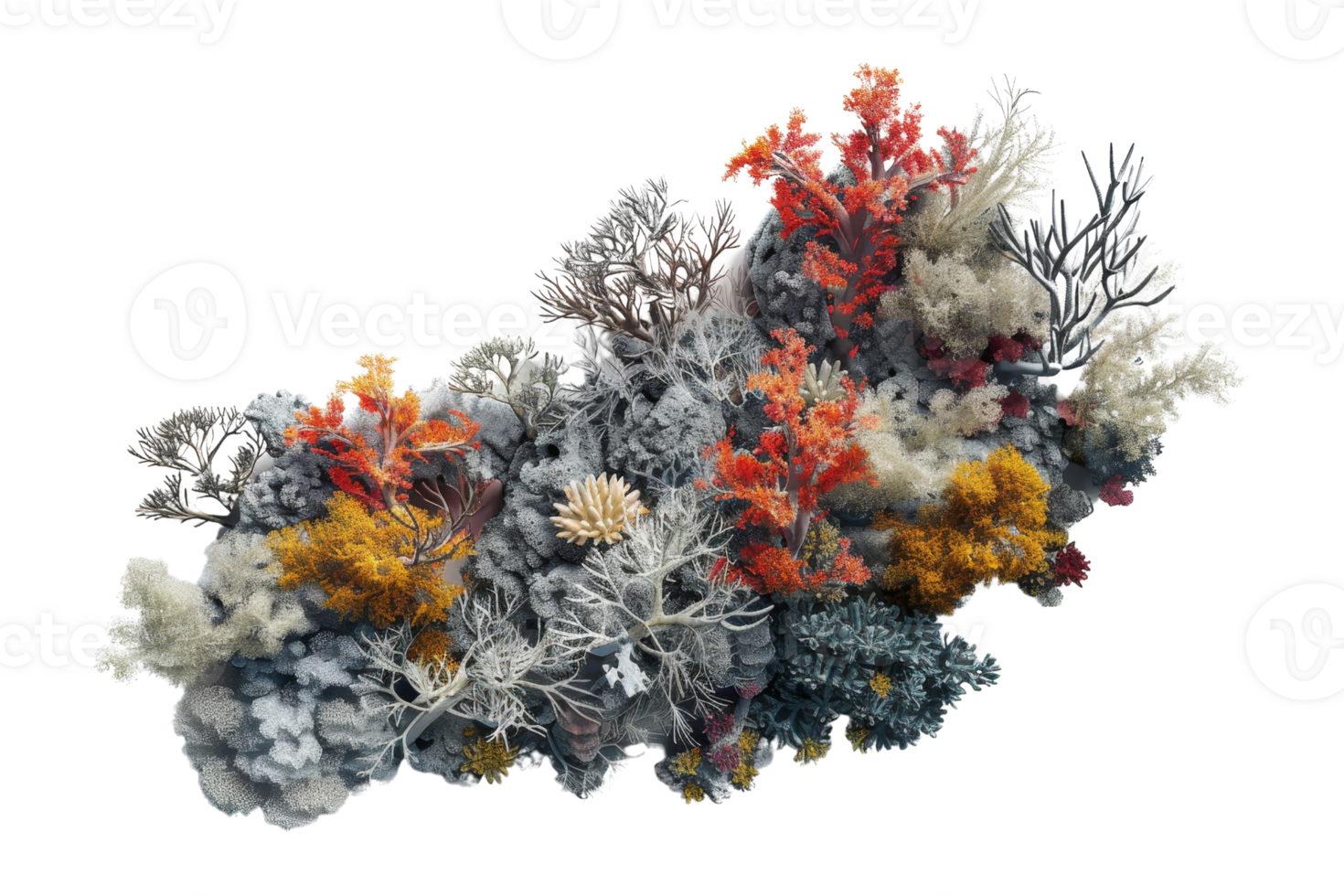 Colorful dried flower and plant arrangement, featuring red, yellow, and white foliage on a transparent background. Perfect for design projects. png